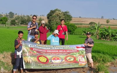 Terapan Organik Bela Negara FKBN Nyata Perbaiki PH Tanah, Hasil Panen Melimpah dan Bebas Hama Penyakit